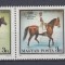 UNGARIA 1989 CAI DE RASA SERIE MNH