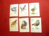 Serie URSS 1982 -Fauna - Pasari, 6 valori