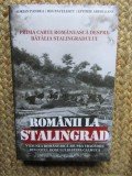 ROMANII LA STALINGRAD , VIZIUNEA ROMANEASCA ASUPRA TRAGEDIEI DIN COTUL DONULUI SI STEPA CALMUCA de ADIAN PANDEA ... EFTIMIE ARDELEANU , 2025