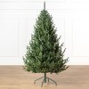 Brad artificial Christmas Deluxe by Sersimo, Viena Select, integral 3D, 180cm Household NewTrend