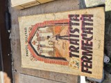 Traista fermecată vintage