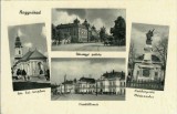 CP1838N Nagyv&aacute;rad/Oradea, carte poștală