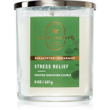 Bath &amp; Body Works Eucalyptus Spearmint lum&acirc;nare parfumată Stress Relief 227 g