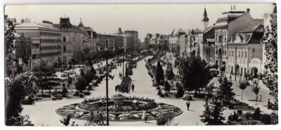 TARGU MURES vedere din piata trandafirilor DIMENSIUNE MARE 20X9 CM foto