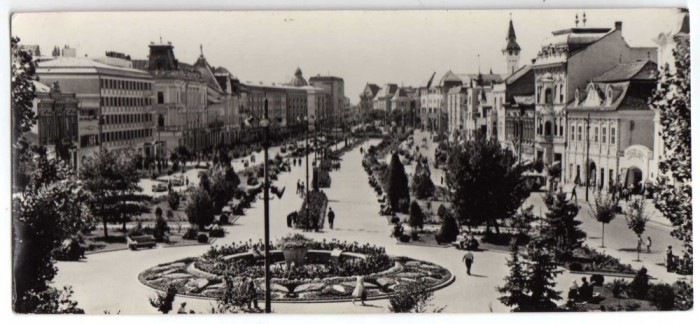 TARGU MURES vedere din piata trandafirilor DIMENSIUNE MARE 20X9 CM