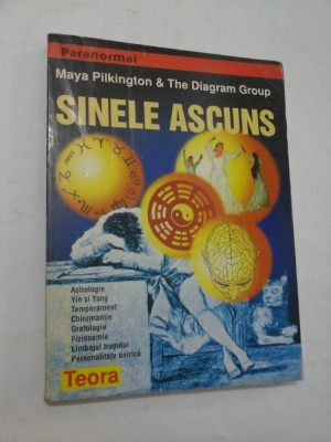 SINELE ASCUNS - Maya Pilkington &amp;amp; The Diagram Group foto