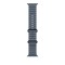 APPLE WATCH 49 ANCHOR BLUE B TI OB-ZML