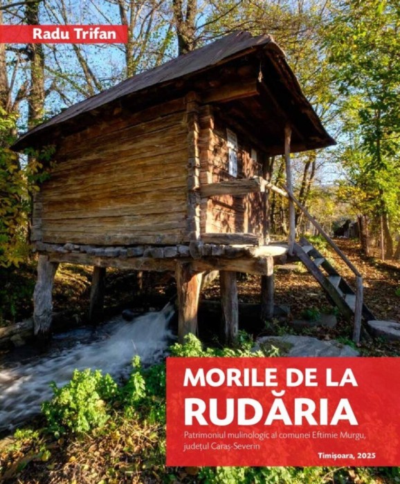 Morile de la Rudaria | Okazii.ro