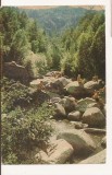 FA136 -Carte Postala- RUSIA - Altai Mountain. Beach of the resort Belokurikha, necirculata 1967