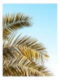 Tablou Canvas, "Frunzele aurii ale verii tropicale", Frunze, Palmier, Cer, Albastru, Soare, Varfuri, Lumina, 26 x 39 cm, CMCLASS