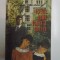 ELEVUL DIMA DINTR-A SAPTEA de MIHAIL DRUMES , 1992
