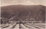 CP SIBIU Hermannstadt Turnu Rosu Partea Romaneasca Caineni ND(1917), Circulata, Fotografie