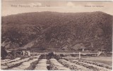 CP SIBIU Hermannstadt Turnu Rosu Partea Romaneasca Caineni ND(1917), Circulata, Fotografie