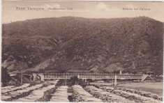 CP SIBIU Hermannstadt Turnu Rosu Partea Romaneasca Caineni ND(1917)