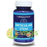 Articular Stem 60cps