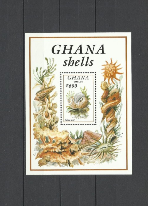 GHANA 1992 FAUNA MARINA SCOICI
