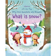 What is Snow? - Very First Questions and Answers Usborne Books