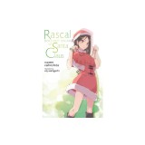Rascal Does Not Dream of Santa Claus (Light Novel): Volume 13