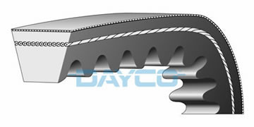 Curea transmisie 19.7x815 (Dayco) SYM Joyride - Joyride Euro 2 - Joyride Euro 3 125-150-200cc foto