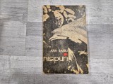 Nisipuri de Ana Barbu
