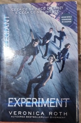 Veronica Roth - Experiment foto