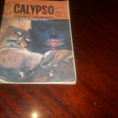 Revista calypso an 1991 nr 1(13)