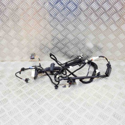 Cablaj ușă st&amp;acirc;nga spate TESLA MODEL Y 2020 OEM: 1489053-00-C 13580751 foto