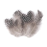 Set 20 pene decorative gaina, lungime 5-12 cm, Gri deschis