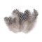 Set 20 pene decorative gaina, lungime 5-12 cm, Gri deschis