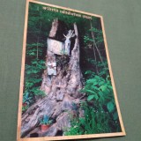 Cumpara ieftin CARTE POSTALA SFANTA MANASTIRE IZBUC NECIRCULATA