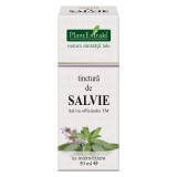 Tinctura Salvie 50ml PlantExtrakt