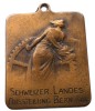 Medalie Elvetia Exposition Nationale Suisse Berne 1914, Bronz 31.5mm Huguenin, Numismatica