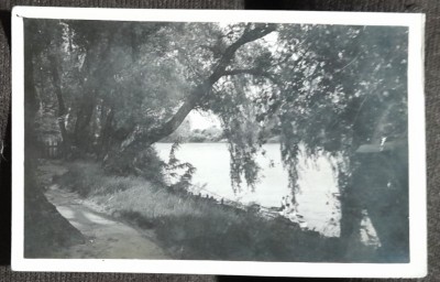 Carte postala, Satu Mare, lacul si plaja, 1916 foto