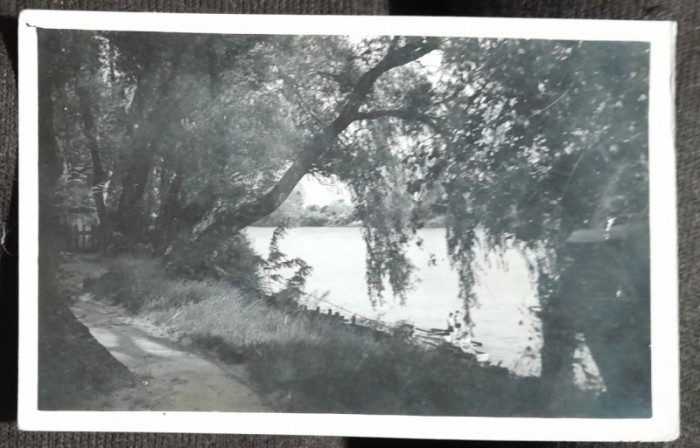 Carte postala, Satu Mare, lacul si plaja, 1916