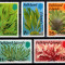 Falkland 1979, Mi #279-283**, flora, plante subacvatice, MNH! Cota 4,50 &euro;!