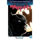 Batman Vol 1 - I Am Gotham | Tom King, DC Comics