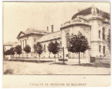 5442 - BUCURESTI, Facultatea de Medicina - old photocard ( 11/8.5 cm ) - unused