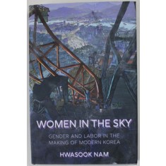 WOMEN IN THE SKY - GENDER AND LABOR IN THE MAKING OF MODERN KOREA by HWASOOK NAM , 2021 , PREZINTA PETE SI URME DE UZURA