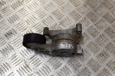 &amp;Icirc;ntinzător de curea AUDI A3 8P1 2008 OEM: 06F903315 13857262 foto