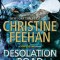 Desolation Road