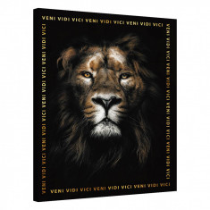 Tablou Canvas, Tablofy, Lion · Veni Vidi Vici, Printat Digital, 90 × 120 cm