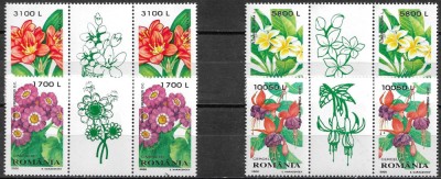 C110 - Romania 2000 - Flora 4v.pereche cu vigneta la mijloc,nestampilat MNH foto