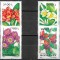 C110 - Romania 2000 - Flora 4v.pereche cu vigneta la mijloc,nestampilat MNH