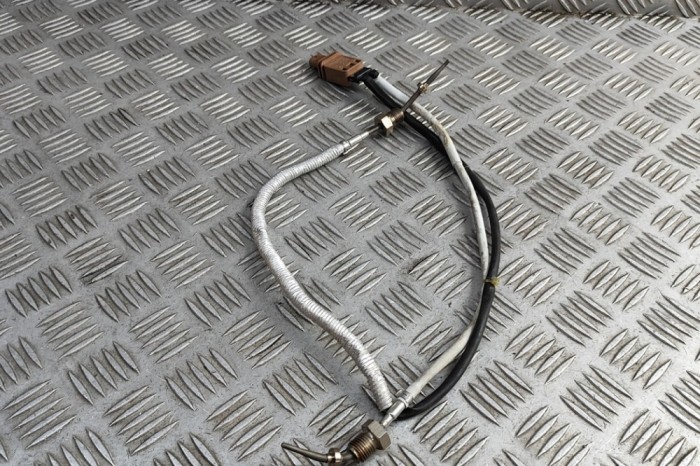 Senzor de temperatură gaze de eșapament AUDI A6 C8 Avant 4A5 2024 OEM: 8W0919519C 31304562