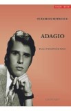 Adagio pentru Violoncel solo - Tudor Dumitrescu