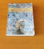 Sf&acirc;ntul Ioan Scărarul - SCARA RAIULUI (traducerea mitropolitului Nicolae Corneanu)