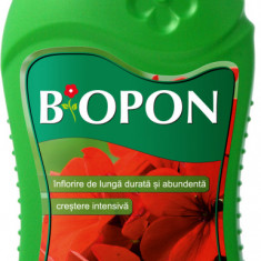 Ingrasamant pentru pelargonii (muscata 422 specii) Biopon 0.5 l