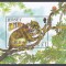 Jersey 2004 - Anul Nou Chinezesc - Anul Maimuței, Colita