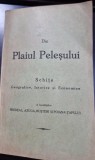 Din Plaiul Peleșului. Schițe Geografice, Istorice și Economice a localităților Predeal, Azuga, Bușteni și Poiana-Țapului