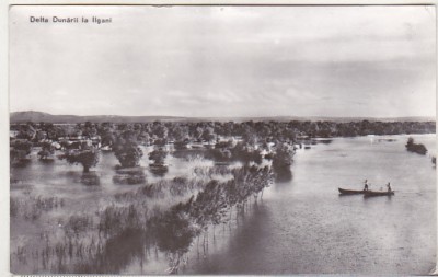 bnk cp Delta Dunarii la Ilgani - Vedere - necirculata foto